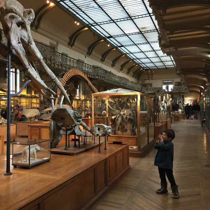 Vacances scolaires à Paris : nos idées pour occuper vos enfants