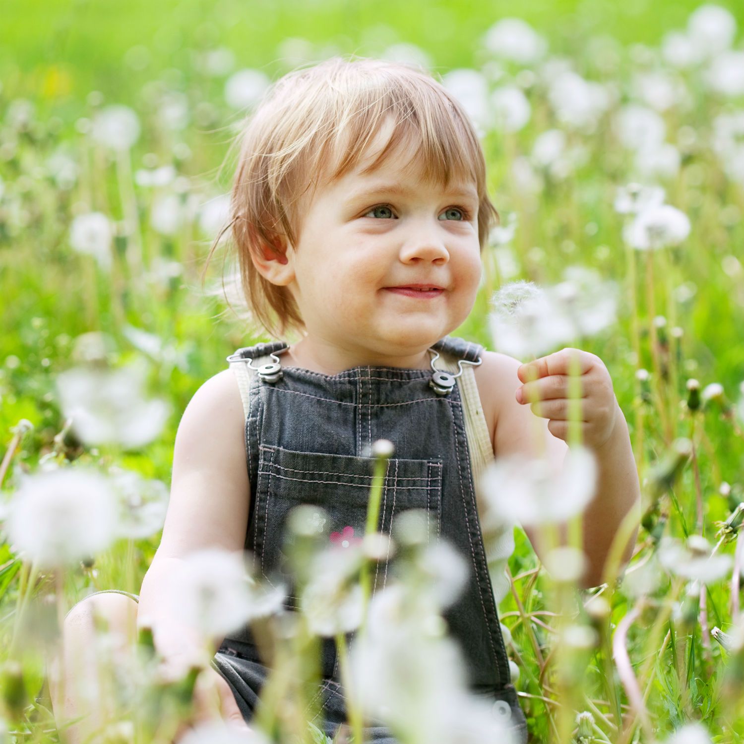 Anti moustique bébé : les astuces qui marchent